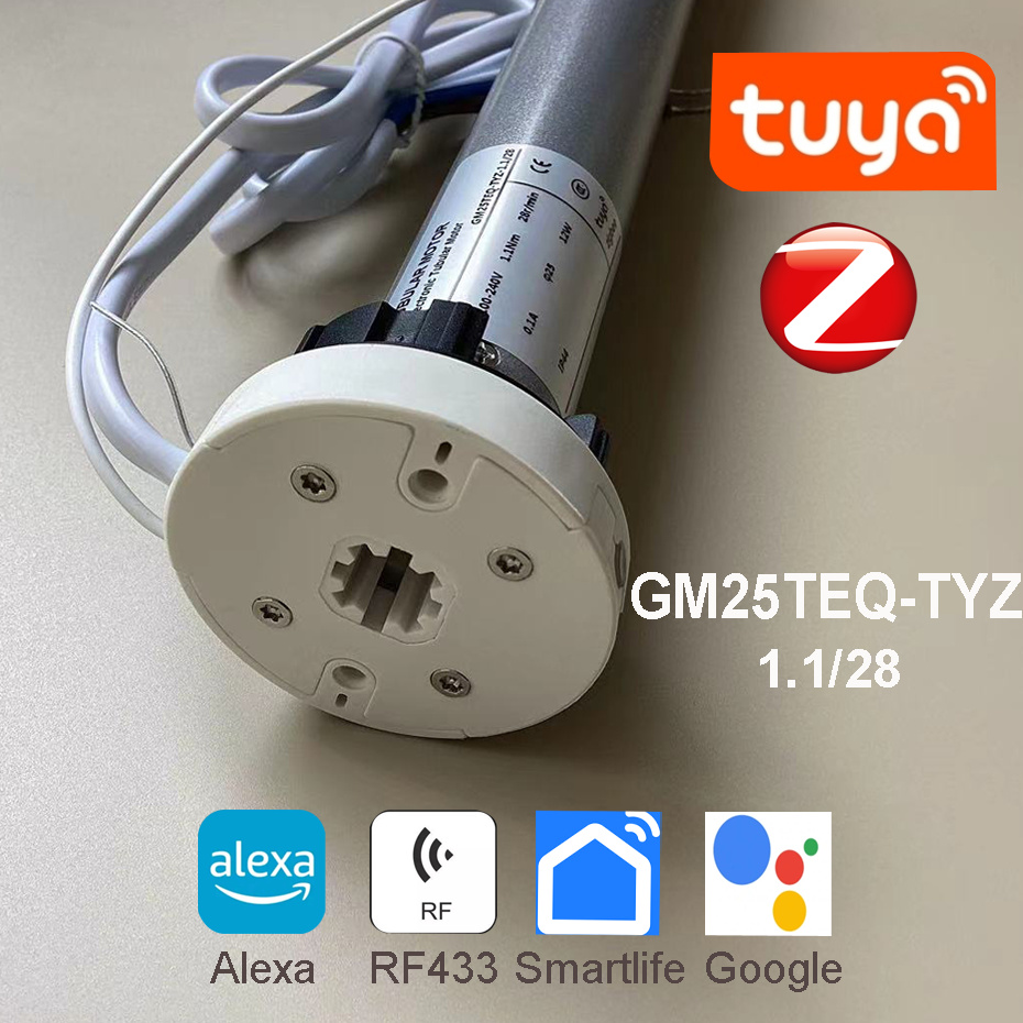 Tuya Zigbee GM25TEQ 1.1N Motor - Smart Home Youtube ulasan dan harga