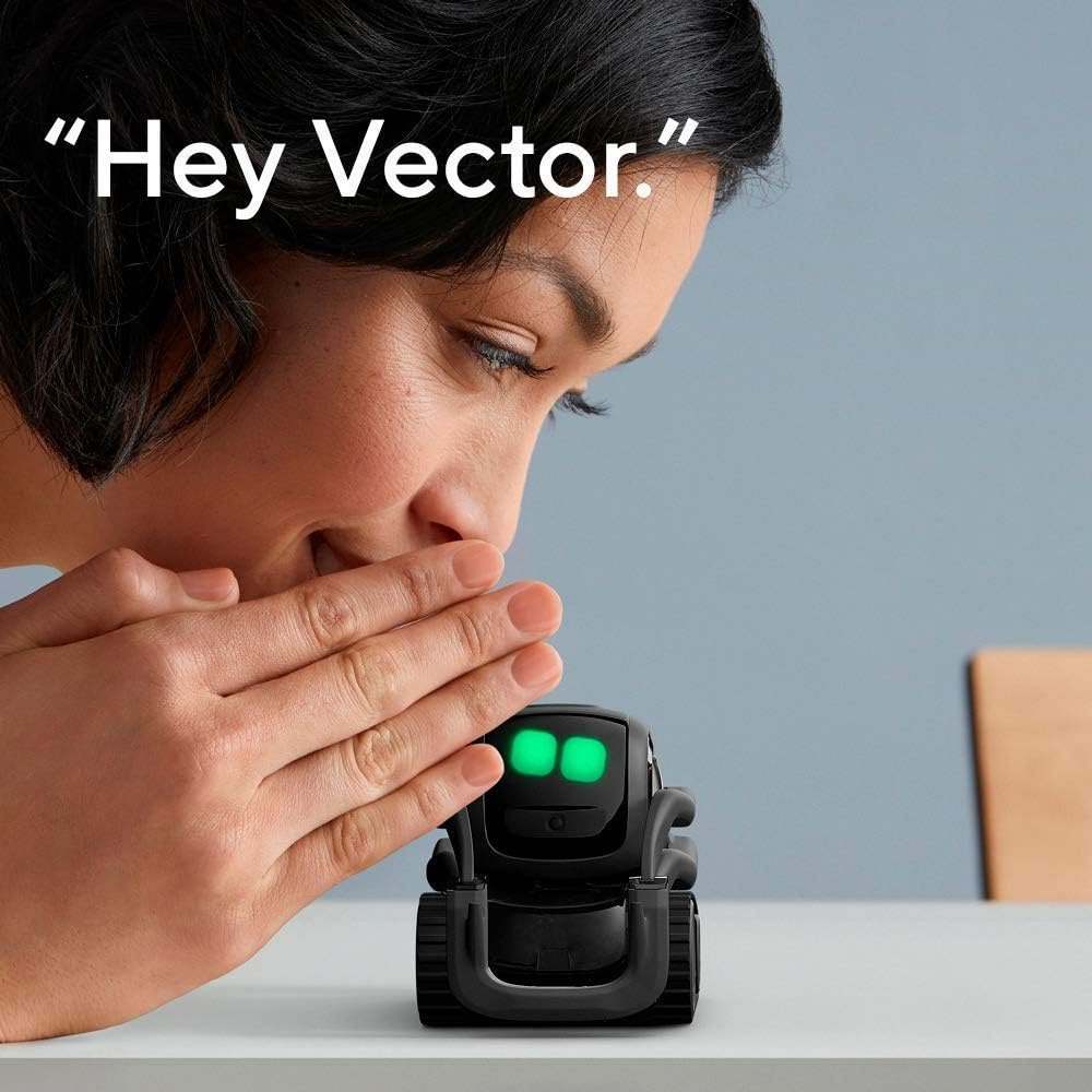 Robot Pintar AI ChatGPT 2.0, R - Smart Home Controller ulasan dan harga