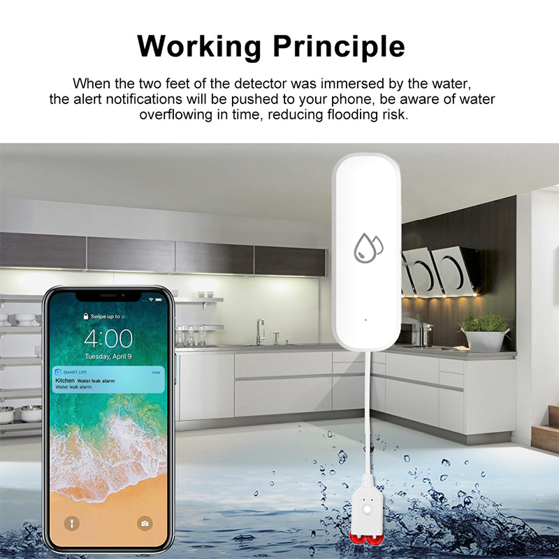 Sensor Alarm Kebocoran Air WiF - Smart Home Wiz ulasan dan harga